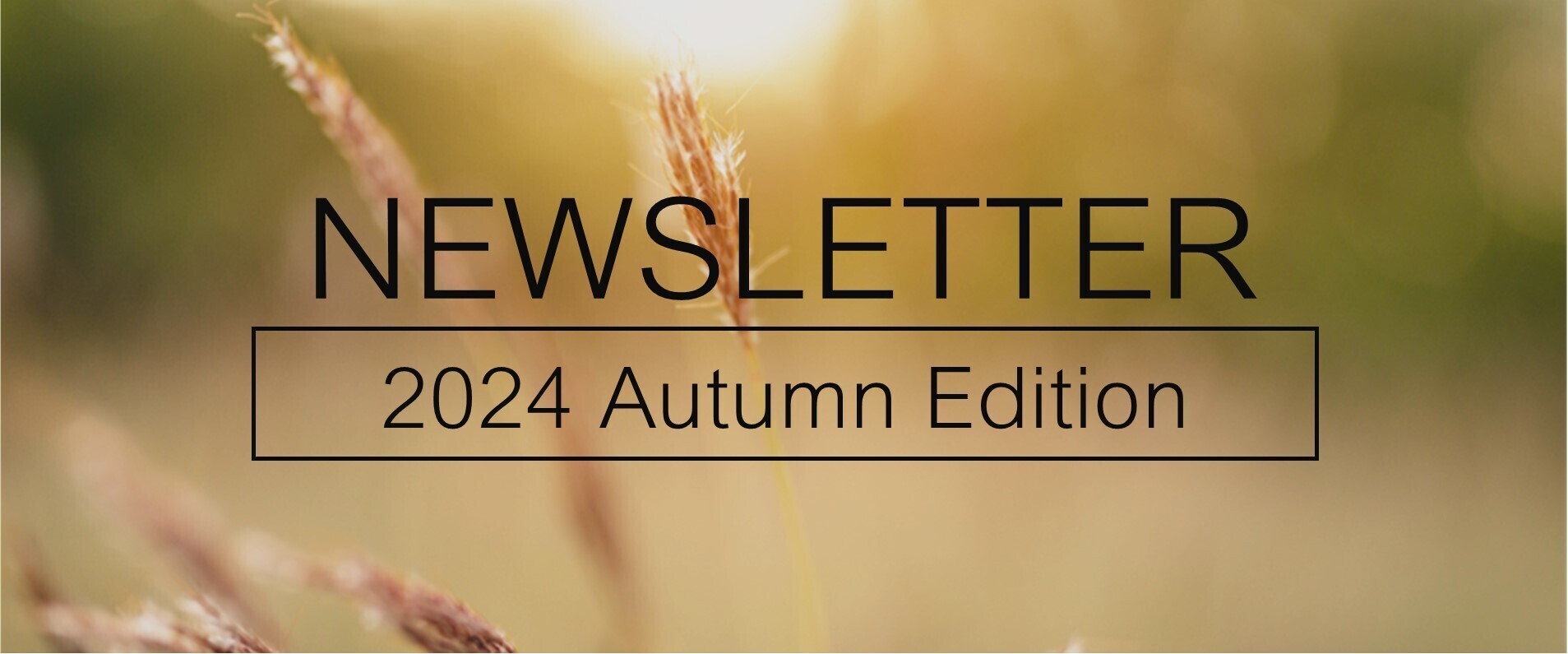 2024 Autumn Newsletter slideshow